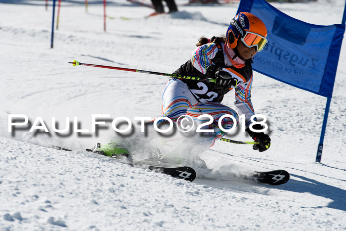 Ziener Cup WF, Finale, Quali + Parallelslalom, 24.03.2018