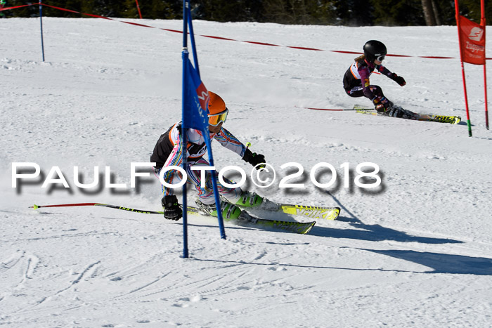 Ziener Cup WF, Finale, Quali + Parallelslalom, 24.03.2018