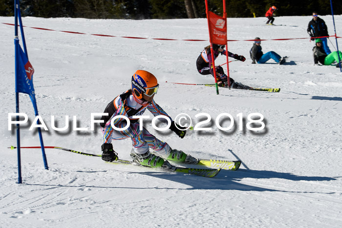 Ziener Cup WF, Finale, Quali + Parallelslalom, 24.03.2018