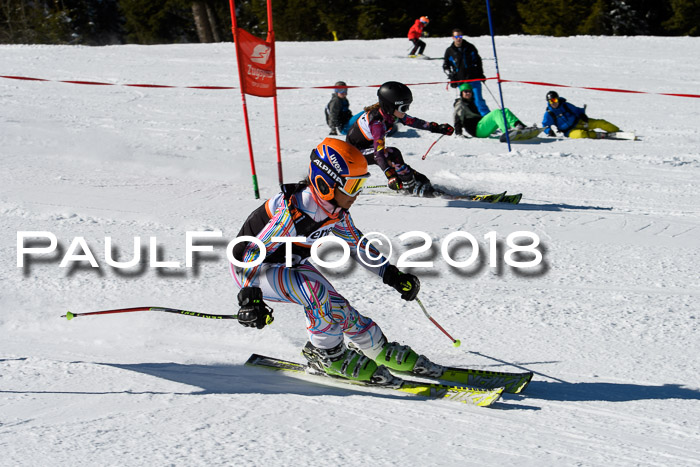 Ziener Cup WF, Finale, Quali + Parallelslalom, 24.03.2018
