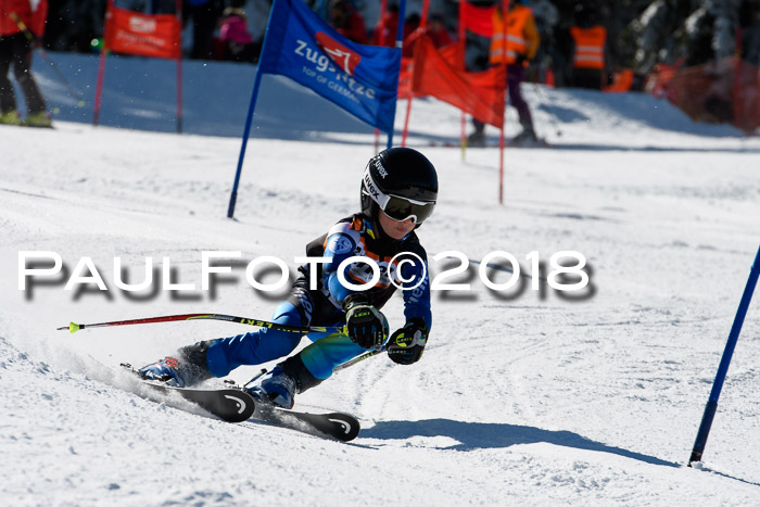 Ziener Cup WF, Finale, Quali + Parallelslalom, 24.03.2018