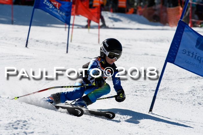 Ziener Cup WF, Finale, Quali + Parallelslalom, 24.03.2018