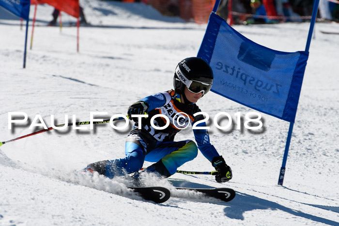 Ziener Cup WF, Finale, Quali + Parallelslalom, 24.03.2018