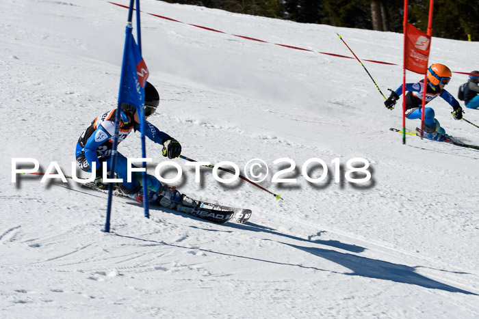 Ziener Cup WF, Finale, Quali + Parallelslalom, 24.03.2018