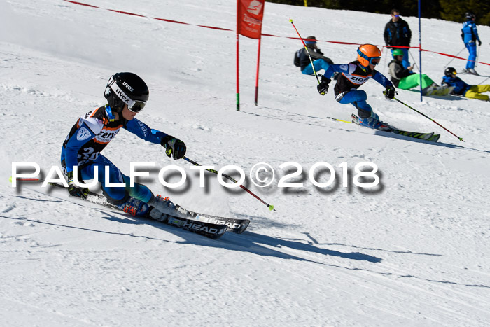 Ziener Cup WF, Finale, Quali + Parallelslalom, 24.03.2018
