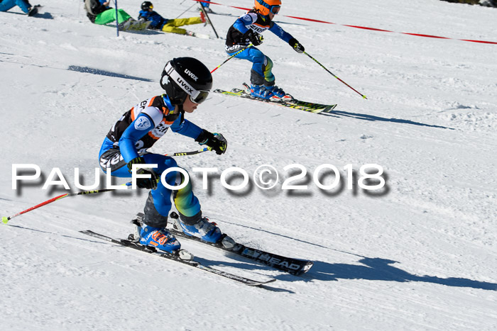 Ziener Cup WF, Finale, Quali + Parallelslalom, 24.03.2018