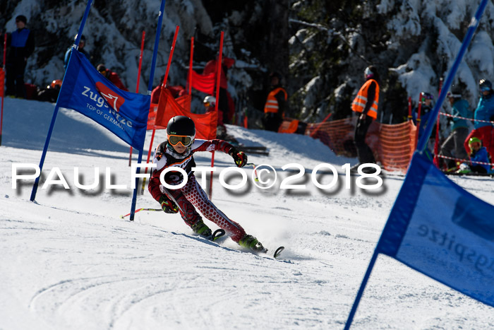 Ziener Cup WF, Finale, Quali + Parallelslalom, 24.03.2018