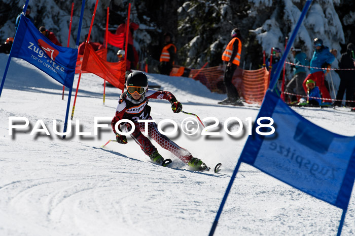 Ziener Cup WF, Finale, Quali + Parallelslalom, 24.03.2018