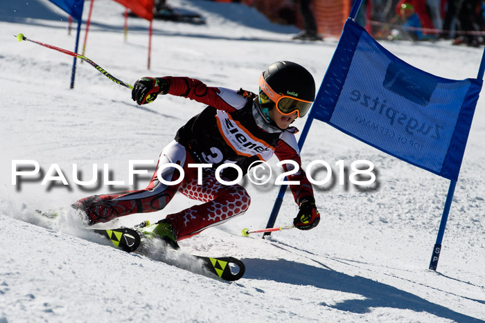 Ziener Cup WF, Finale, Quali + Parallelslalom, 24.03.2018