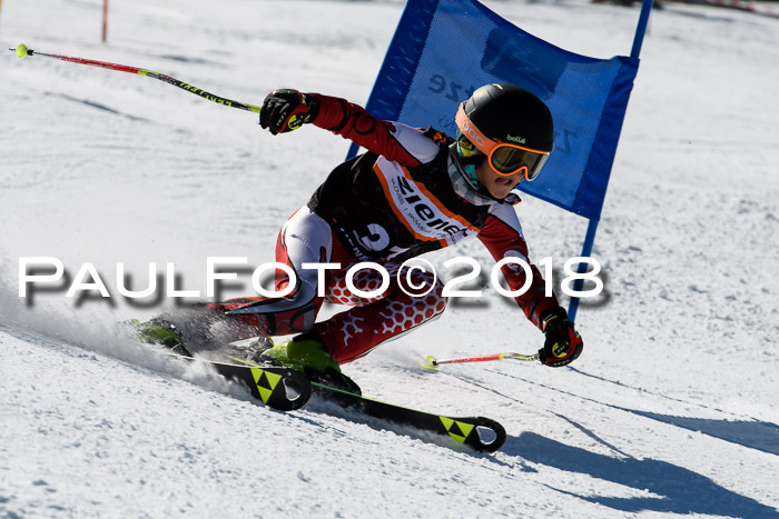 Ziener Cup WF, Finale, Quali + Parallelslalom, 24.03.2018