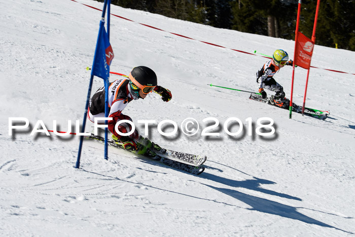 Ziener Cup WF, Finale, Quali + Parallelslalom, 24.03.2018