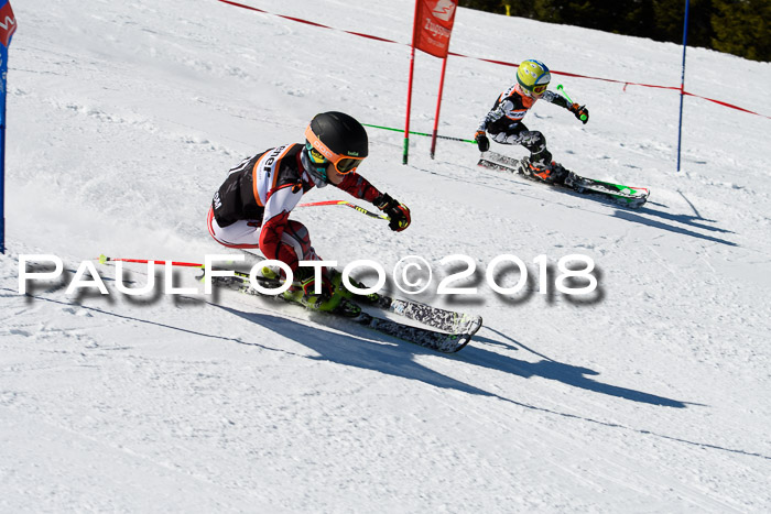 Ziener Cup WF, Finale, Quali + Parallelslalom, 24.03.2018