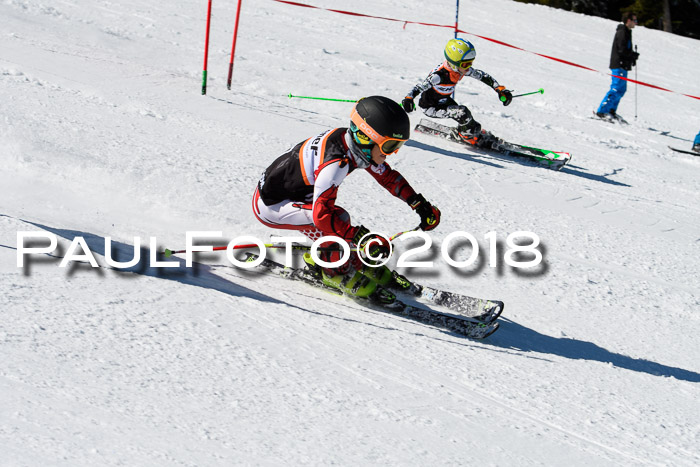 Ziener Cup WF, Finale, Quali + Parallelslalom, 24.03.2018