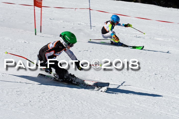 Ziener Cup WF, Finale, Quali + Parallelslalom, 24.03.2018