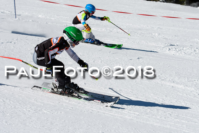 Ziener Cup WF, Finale, Quali + Parallelslalom, 24.03.2018