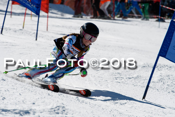 Ziener Cup WF, Finale, Quali + Parallelslalom, 24.03.2018