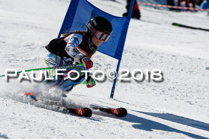 Ziener Cup WF, Finale, Quali + Parallelslalom, 24.03.2018
