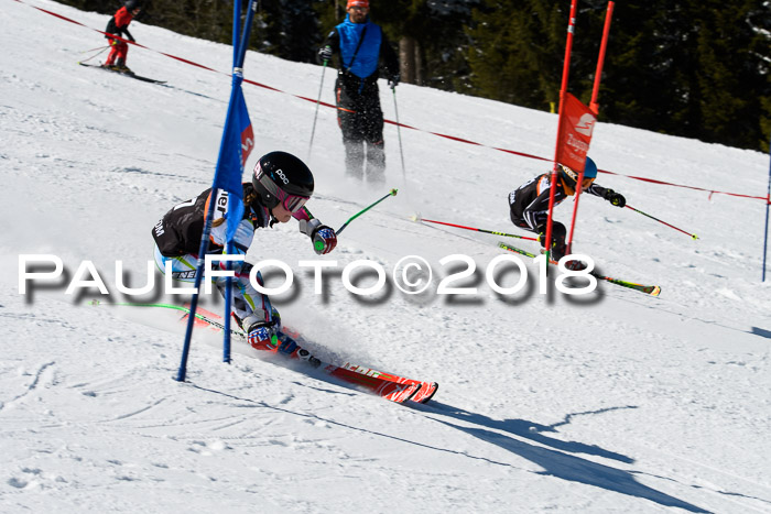 Ziener Cup WF, Finale, Quali + Parallelslalom, 24.03.2018