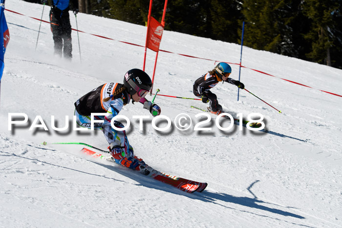 Ziener Cup WF, Finale, Quali + Parallelslalom, 24.03.2018