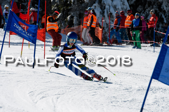 Ziener Cup WF, Finale, Quali + Parallelslalom, 24.03.2018