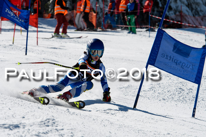 Ziener Cup WF, Finale, Quali + Parallelslalom, 24.03.2018