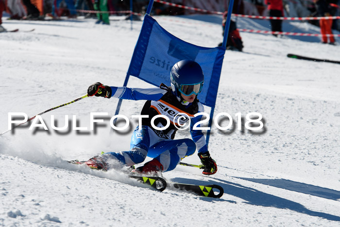 Ziener Cup WF, Finale, Quali + Parallelslalom, 24.03.2018