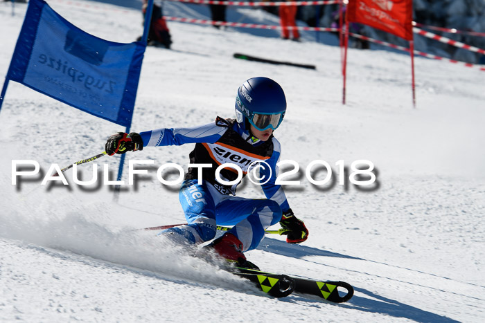 Ziener Cup WF, Finale, Quali + Parallelslalom, 24.03.2018
