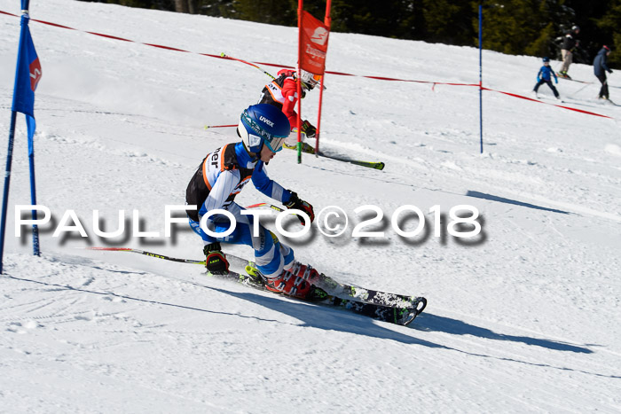 Ziener Cup WF, Finale, Quali + Parallelslalom, 24.03.2018