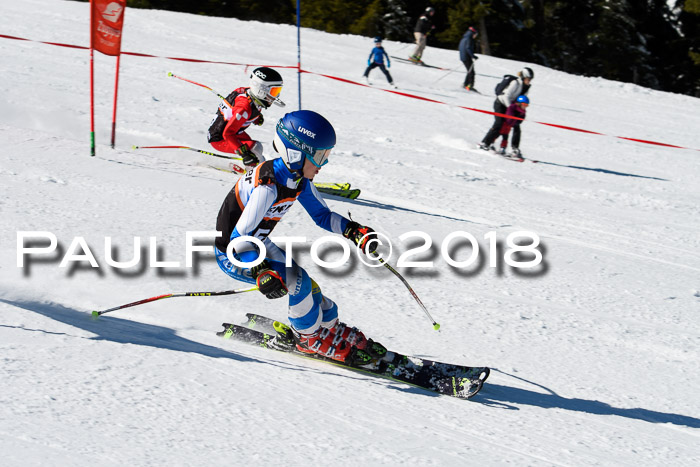 Ziener Cup WF, Finale, Quali + Parallelslalom, 24.03.2018