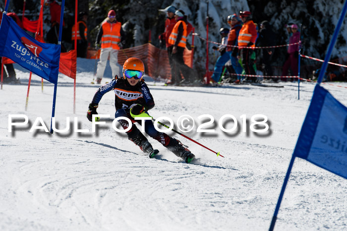 Ziener Cup WF, Finale, Quali + Parallelslalom, 24.03.2018