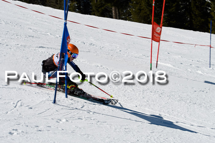 Ziener Cup WF, Finale, Quali + Parallelslalom, 24.03.2018