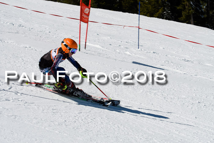 Ziener Cup WF, Finale, Quali + Parallelslalom, 24.03.2018