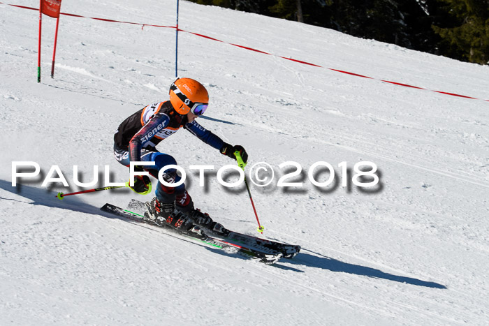 Ziener Cup WF, Finale, Quali + Parallelslalom, 24.03.2018