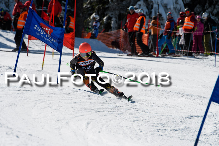 Ziener Cup WF, Finale, Quali + Parallelslalom, 24.03.2018