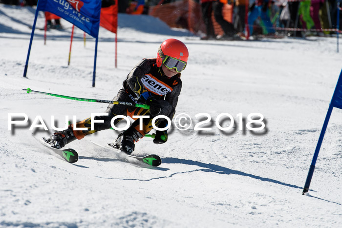 Ziener Cup WF, Finale, Quali + Parallelslalom, 24.03.2018