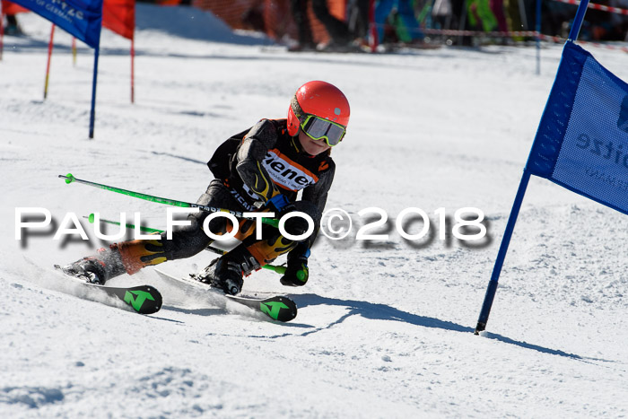 Ziener Cup WF, Finale, Quali + Parallelslalom, 24.03.2018