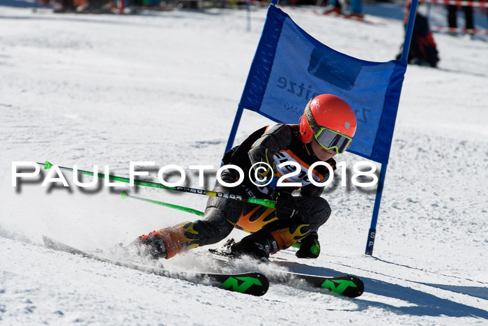 Ziener Cup WF, Finale, Quali + Parallelslalom, 24.03.2018