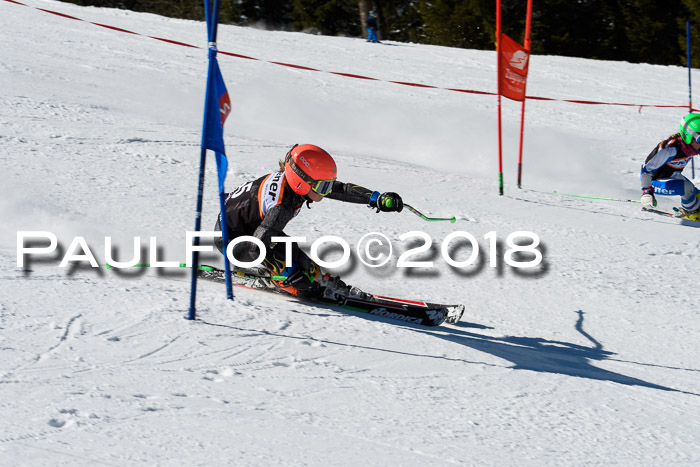 Ziener Cup WF, Finale, Quali + Parallelslalom, 24.03.2018