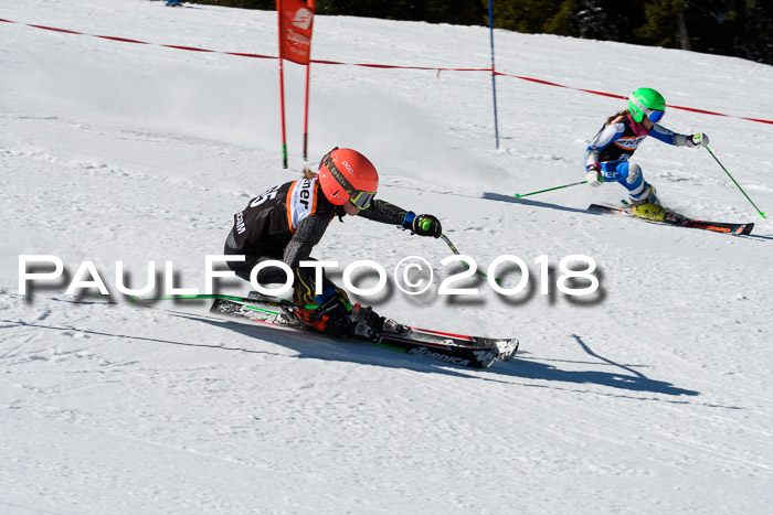 Ziener Cup WF, Finale, Quali + Parallelslalom, 24.03.2018