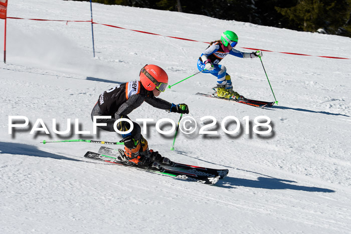 Ziener Cup WF, Finale, Quali + Parallelslalom, 24.03.2018