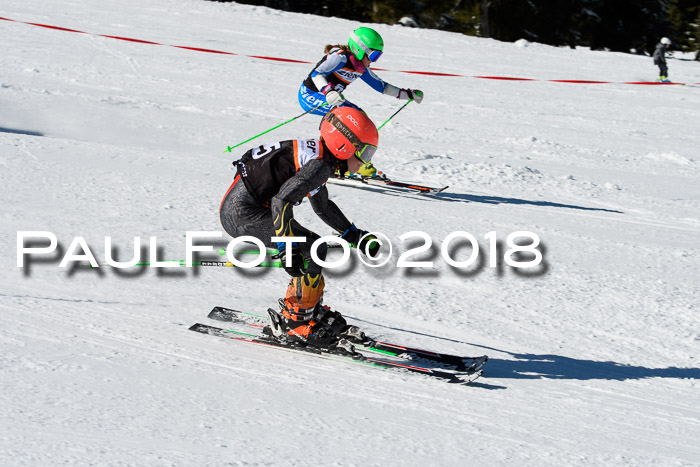 Ziener Cup WF, Finale, Quali + Parallelslalom, 24.03.2018
