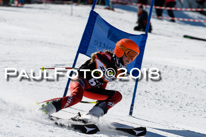Ziener Cup WF, Finale, Quali + Parallelslalom, 24.03.2018