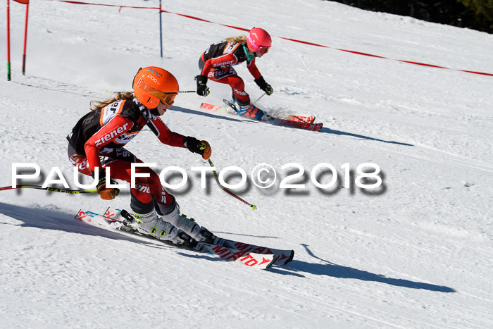 Ziener Cup WF, Finale, Quali + Parallelslalom, 24.03.2018