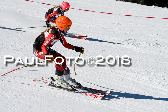 Ziener Cup WF, Finale, Quali + Parallelslalom, 24.03.2018