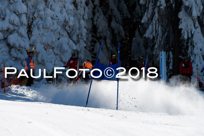 Ziener Cup WF, Finale, Quali + Parallelslalom, 24.03.2018