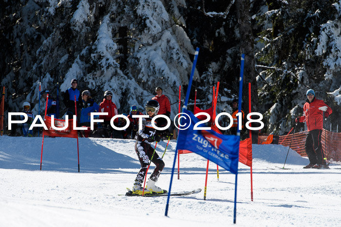 Ziener Cup WF, Finale, Quali + Parallelslalom, 24.03.2018