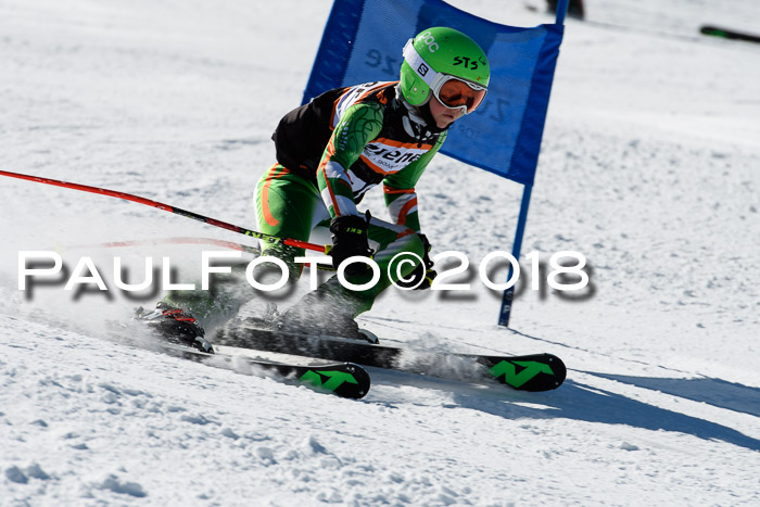 Ziener Cup WF, Finale, Quali + Parallelslalom, 24.03.2018