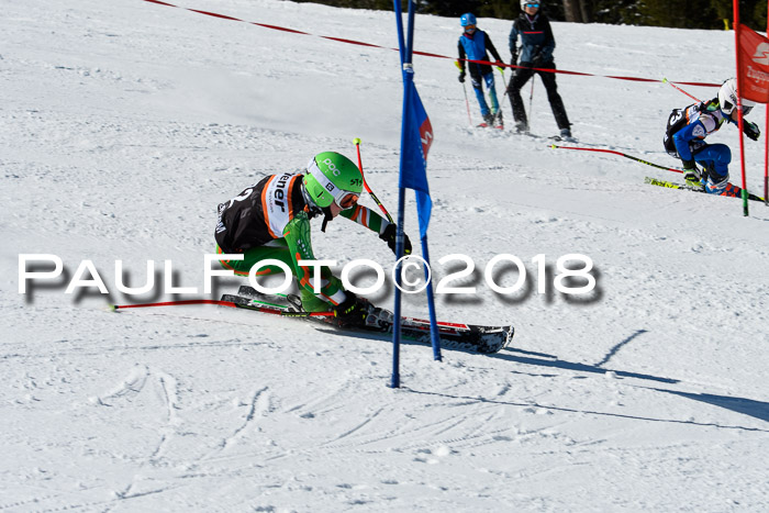 Ziener Cup WF, Finale, Quali + Parallelslalom, 24.03.2018
