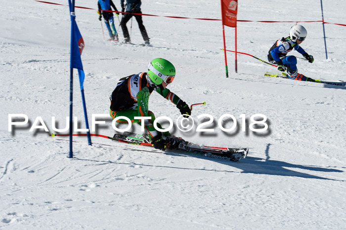 Ziener Cup WF, Finale, Quali + Parallelslalom, 24.03.2018