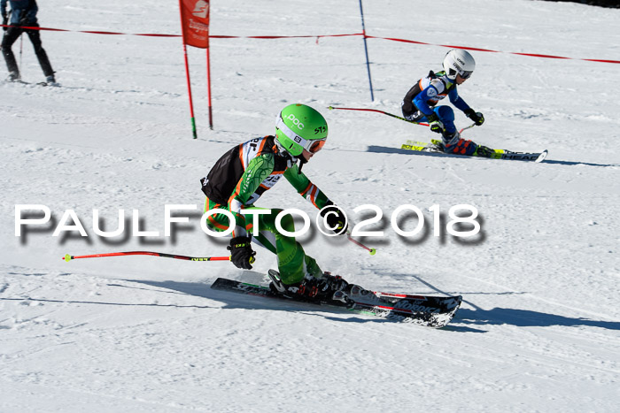 Ziener Cup WF, Finale, Quali + Parallelslalom, 24.03.2018